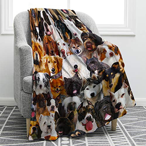 Jekeno Dogs Sherpa Blanket Husky Shiba Inu Pomeranian Bull Terrier Smooth Soft Print Throw Blanket for Bed Couch Sofa Gift Kid Adult 50x60 